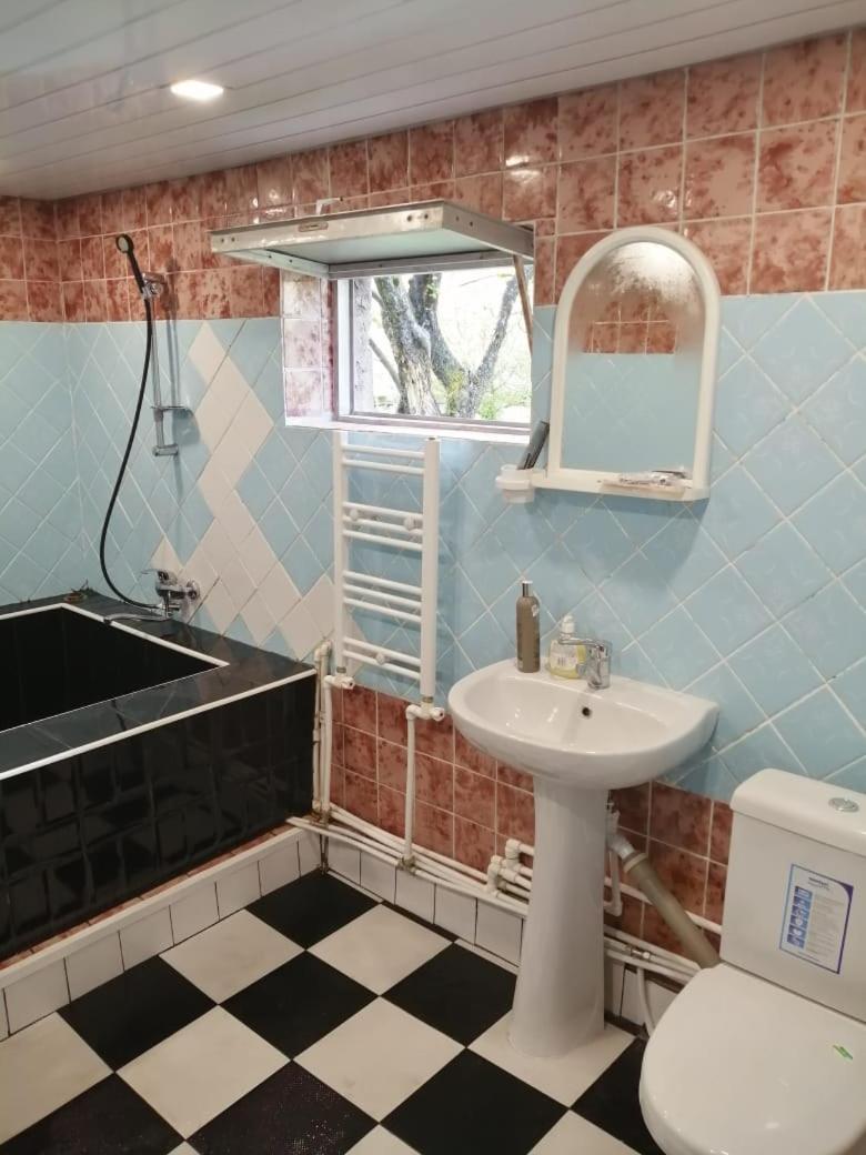 հյուրատուն դսեղում