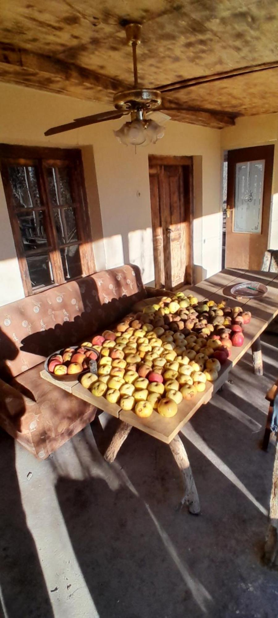 Holiday home հյուրատուն դսեղում *